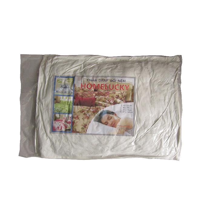 Combo 2 ruột gối home lucky 50x70