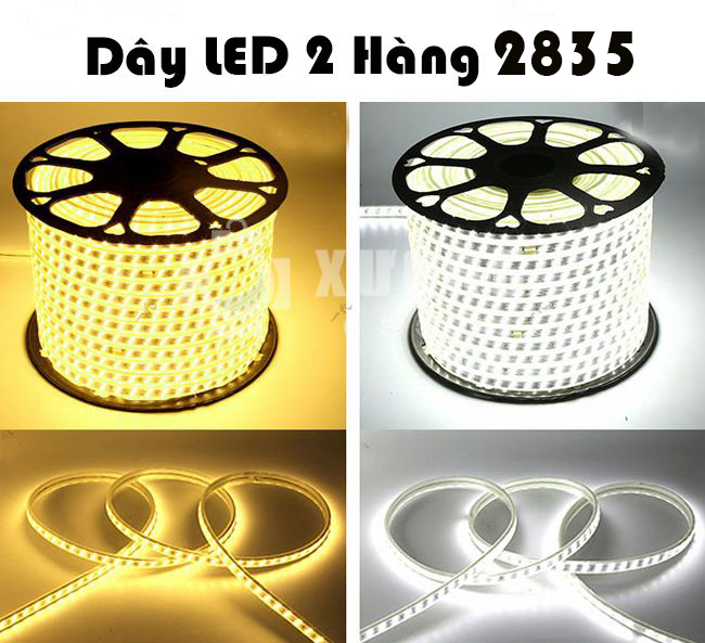 Đèn LED Dây 2 hàng 2835 trang trí TẾT, cuốn cây, hắt trần Siêu Đẹp, Siêu Bền ( bán theo mét )