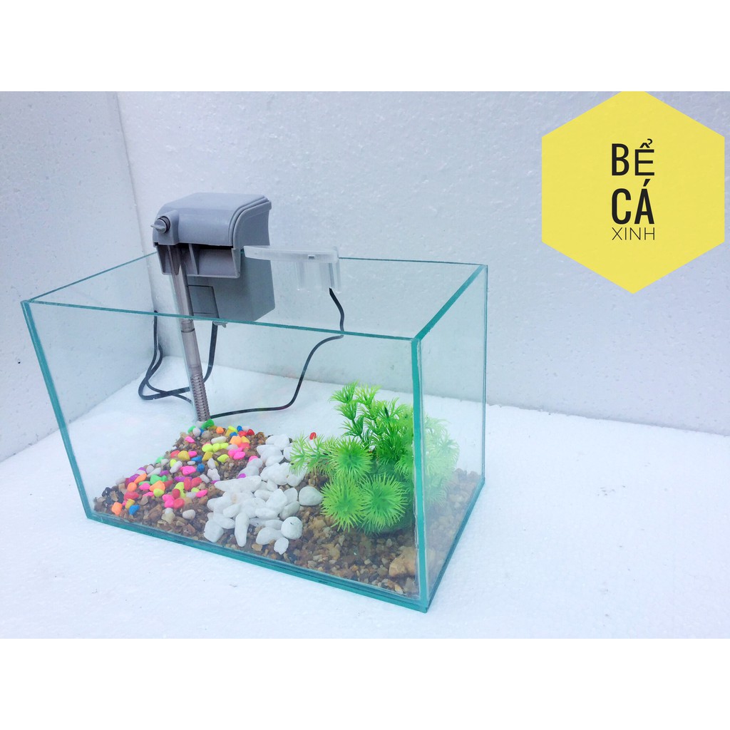 Bể cá mini để bàn 30x15x15 cm +lọc thác