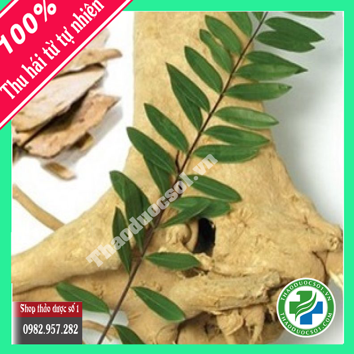 1kg rể cây mật nhân -tdso1