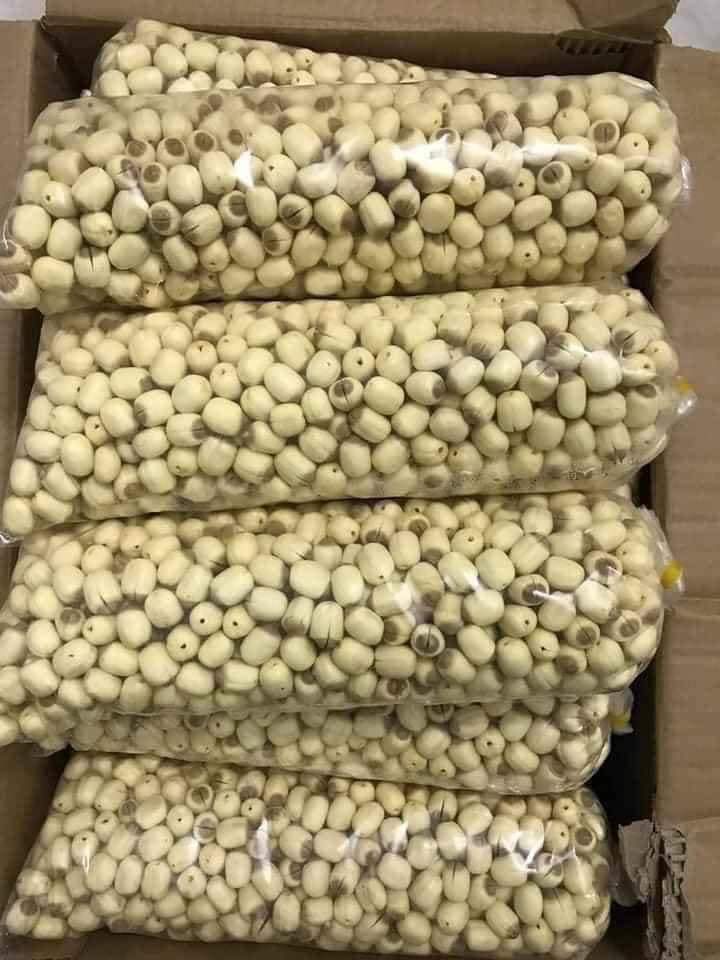 1kg HẠT SEN TƯƠI ĐẦU MÙA RẤT THƠM , RẤT BỞ