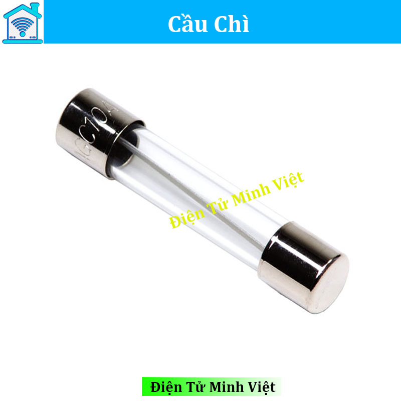 Bộ 10 cầu chì ống 6x30mm 250v
