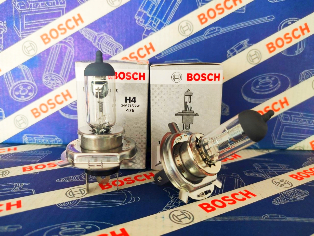 Bóng đèn xe tải bosch h7 24v 70w