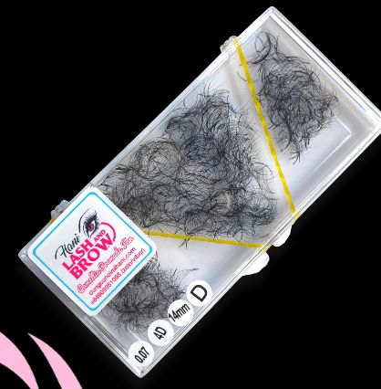 Lông mi sole fan tay sẵn - mi fan camelia 4d - hani beauty