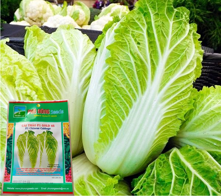 Hạt Giống Cải Thảo Hàn Quốc F1 Phú Nông Giòn ngọt - Gói 1g - Năng suất cao, Sinh trưởng mạnh, Kháng bệnh tốt S Garden
