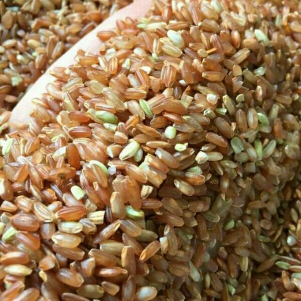 1kg gạo lứt điện biên