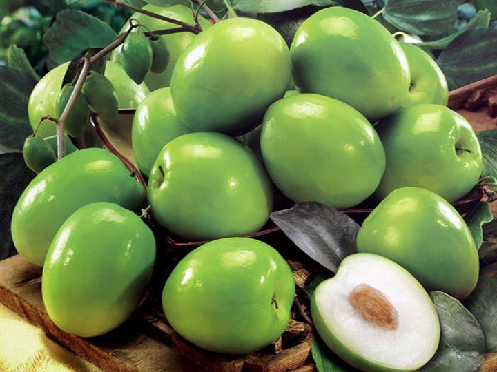 CÂY GIỐNG TÁO THÁI ( QUẢ TO SIÊU NGỌT ) cong giong tao thai f1