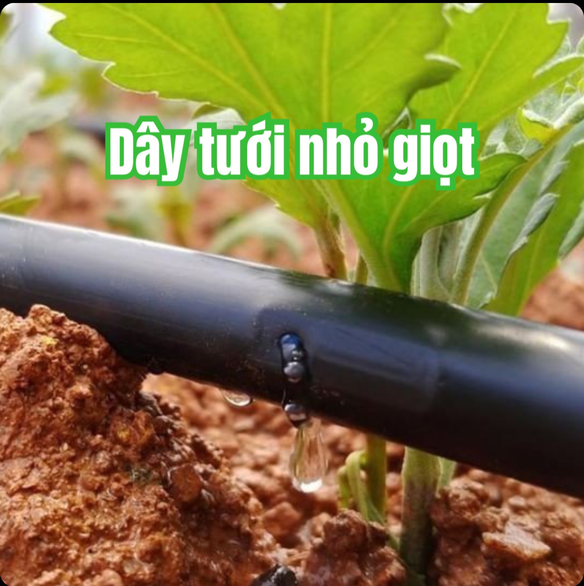 Cuộn 1000m ống dây tưới nhỏ giọt 16mm khoảng cách lỗ 30 cm .