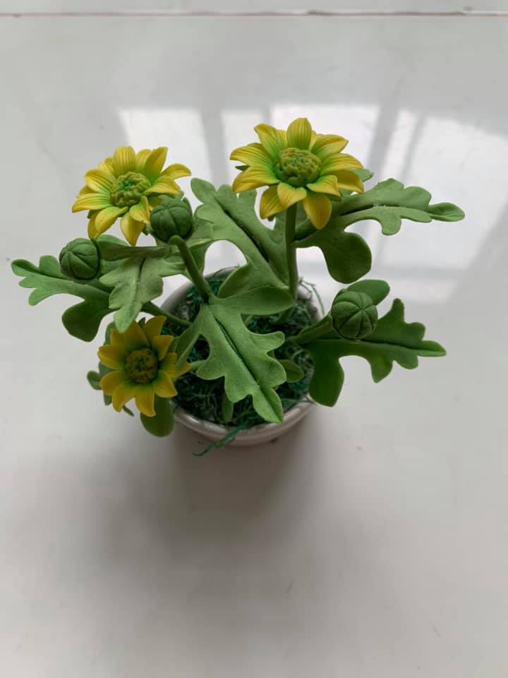 [HCM]Chậu hoa cúc đất sét size nhỏ