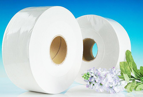 Giấy vệ sinh công cộng cuộn lớn 700gr