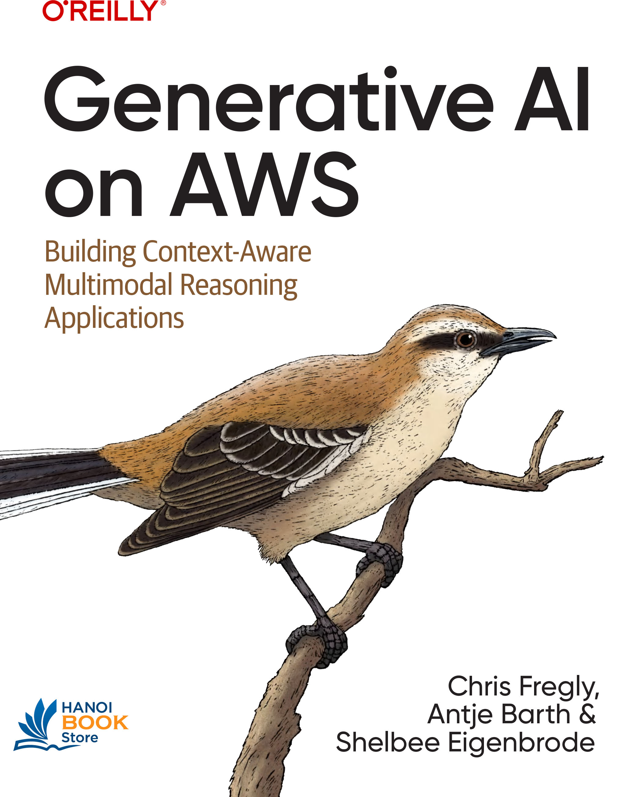 Generative AI on AWS Building Context-Aware Multimodal Reasoning Applications