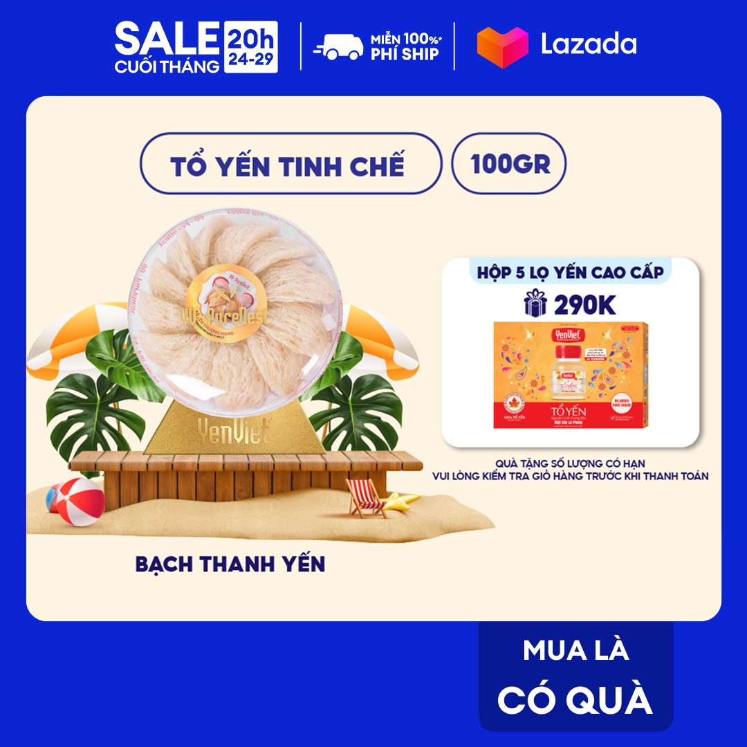 Hộp 100g tổ yến tinh chế Yến Việt thượng hạng, yến sào thiên nhiên, sạch 99%, tỷ lệ sợi 65% - Bạch Thanh Yến