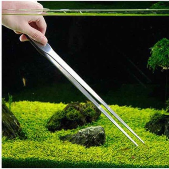 Nhíp trồng cây thuỷ sinh dài 20-30cm