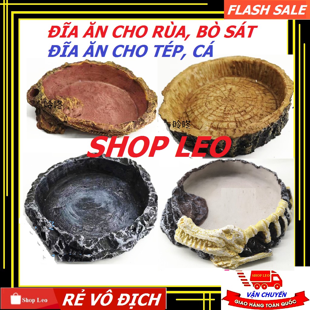 Đĩa đựng thức ăn cho rùa, bò sát - khay đựng thức ăn cho bò sát - phụ kiện thú cưng - shopleo