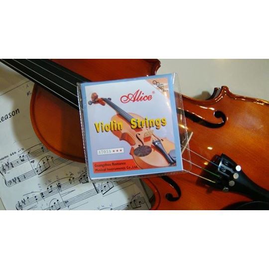 Dây Đàn Viloin Alice A703A chính hãng giá rẻ