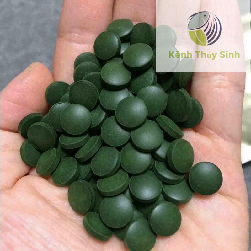 Tảo Xoắn Spirulina Nhật Bản (100 viên) dùng uống, đắp mặt, thức ăn cá tép