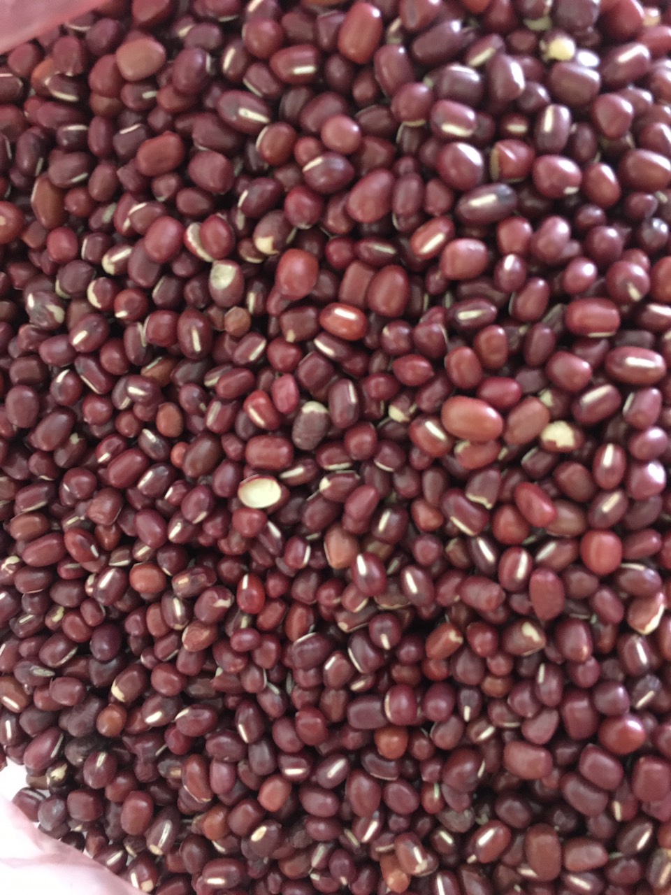 1kg hạt đậu đỏ hạt nhỏ