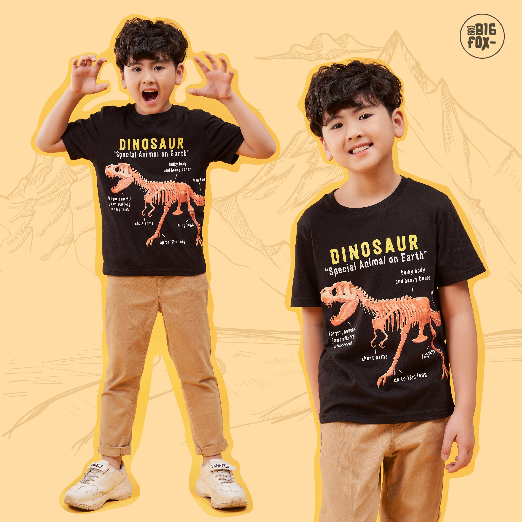 Áo bé trai size đại áo thun cho bé chất cotton phong cách Âu Mỹ hình in khủng long dinosaur 11 - 40 kg QATE