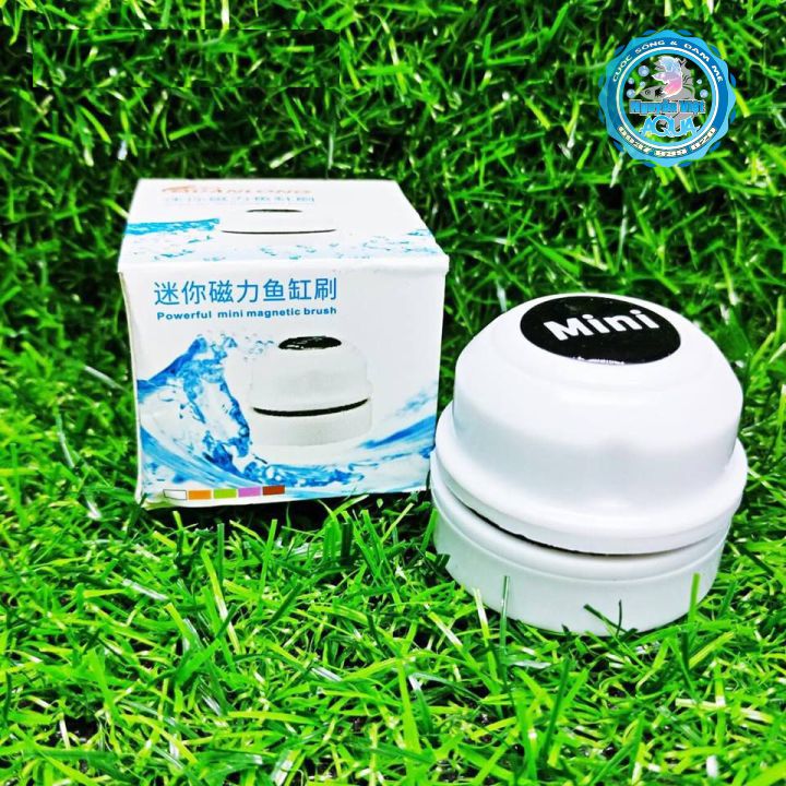 Cọ bể nam châm mini