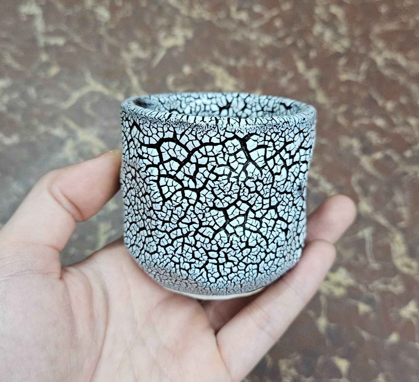 Chậu sứ men lạnh 6cm, chuyên dùng trồng cây cảnh sen đá, xương rồng, màu ngẫu nhiên