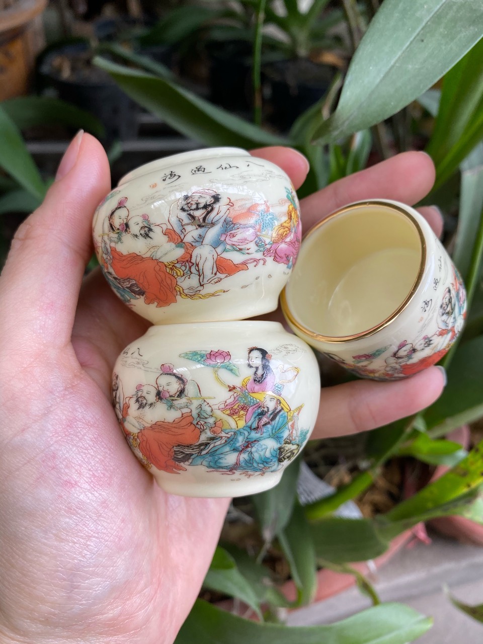 Cóng chim chào mào