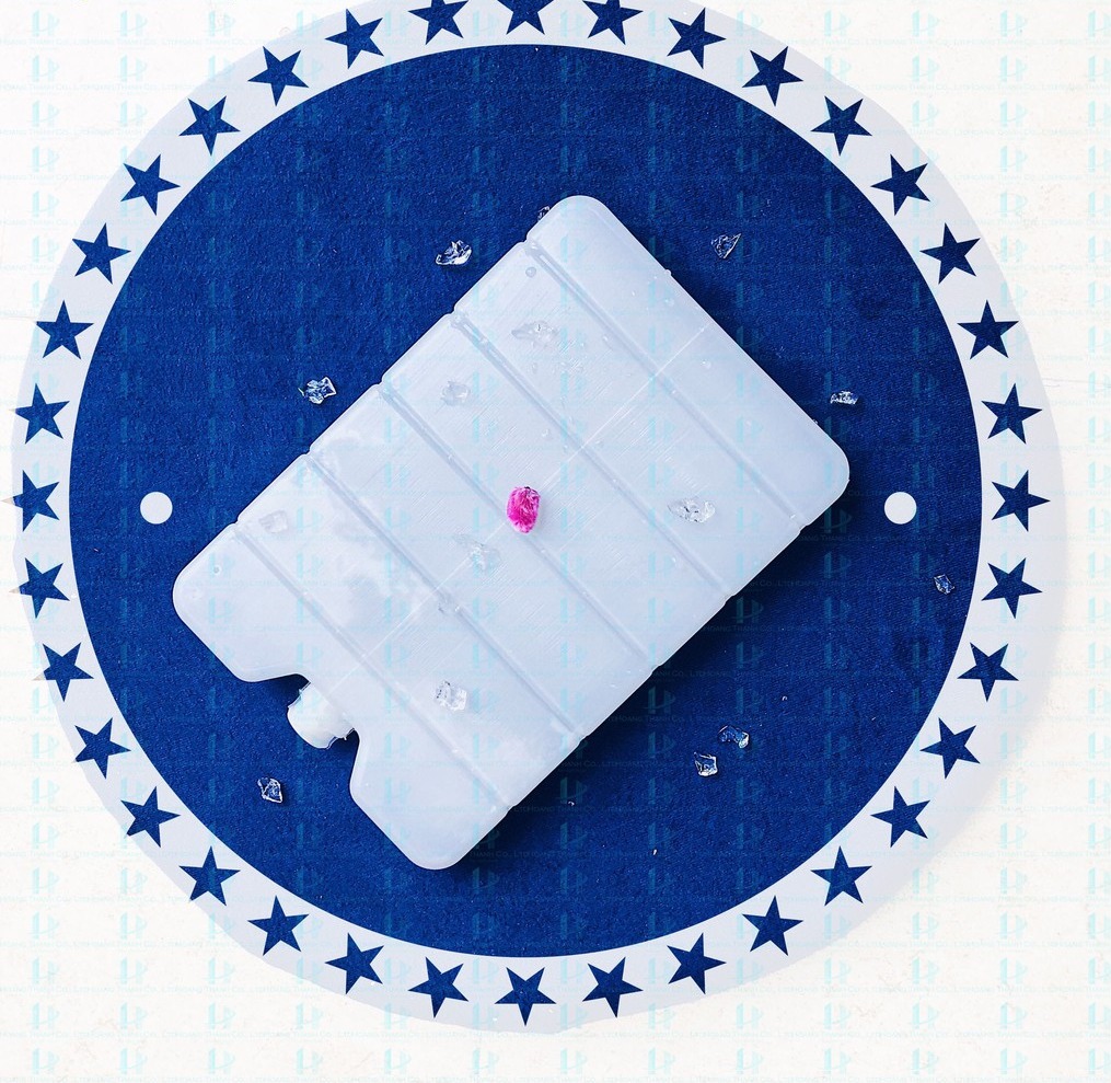 1 HỘP ĐÁ GEL ĐÁ KHÔ HT ICE PACK – 1KG (16x23x3cm)