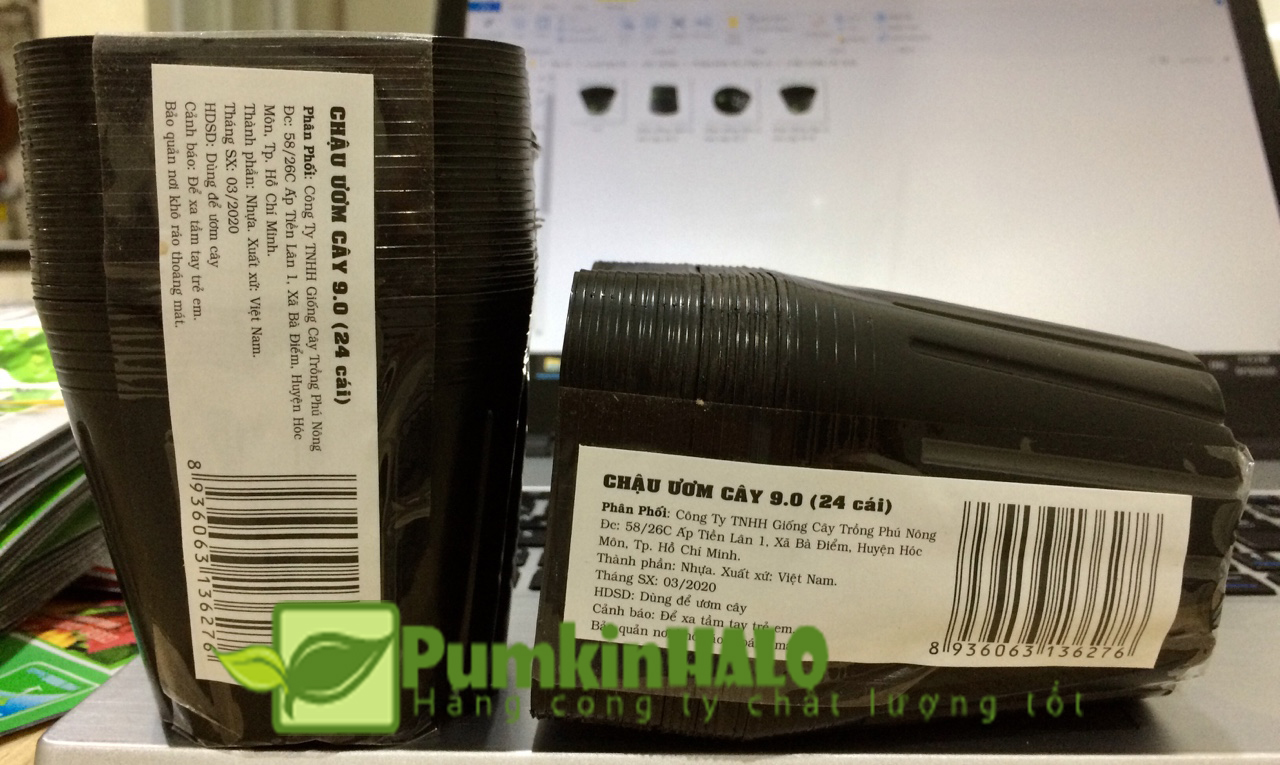 [HCM]COMBO 24 CÁI CHẬU NHỰA DẺO ƯƠM CÂY C9 9CM