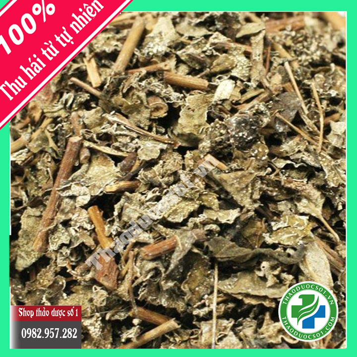 Chè dây Sapa hỗ trợ điều trị viêm loét dạ dày -1kg