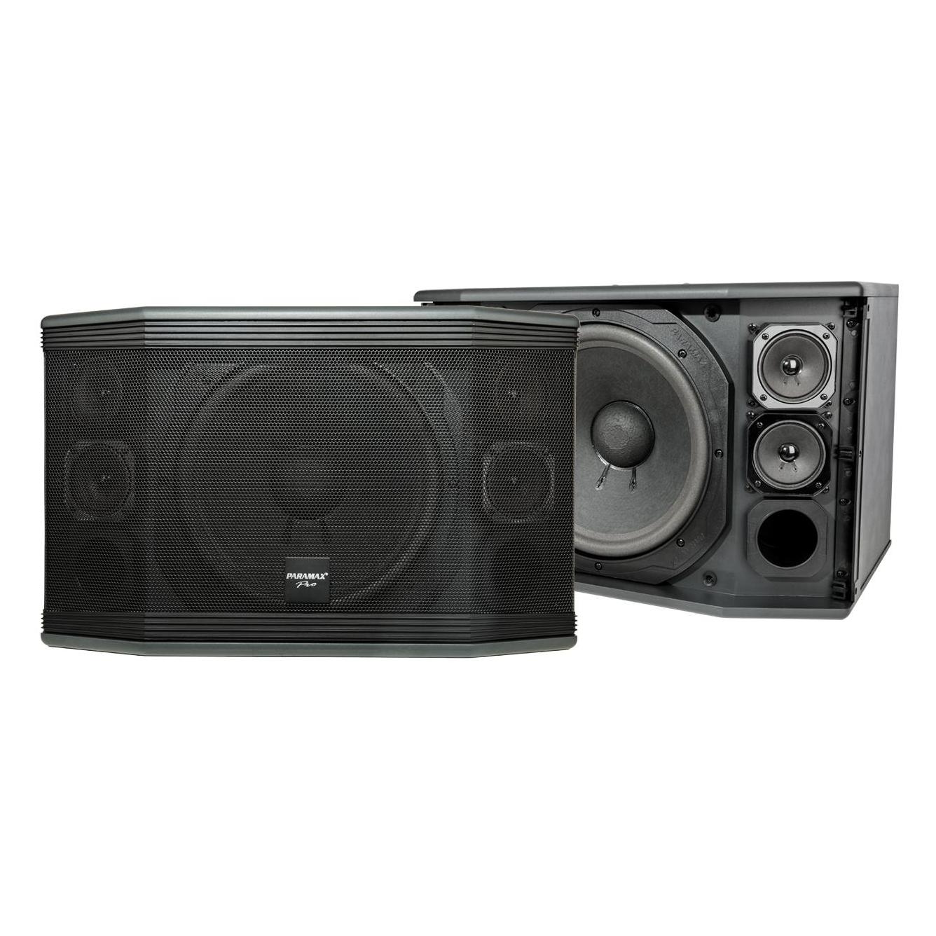 Loa paramax pro-c12
