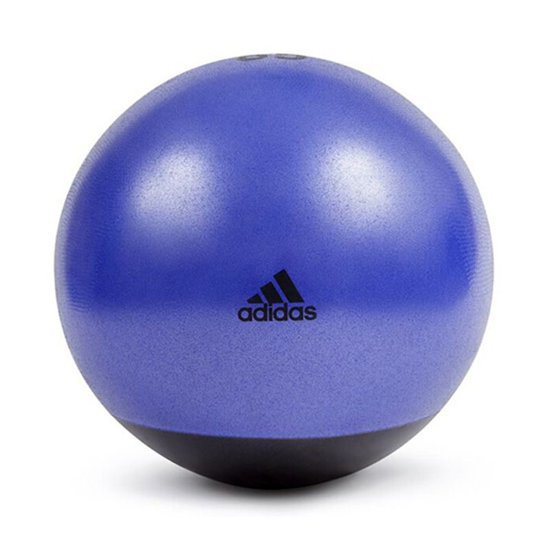 Bóng tập Yoga tập Gym Adidas 65cm Premium ADBL14246