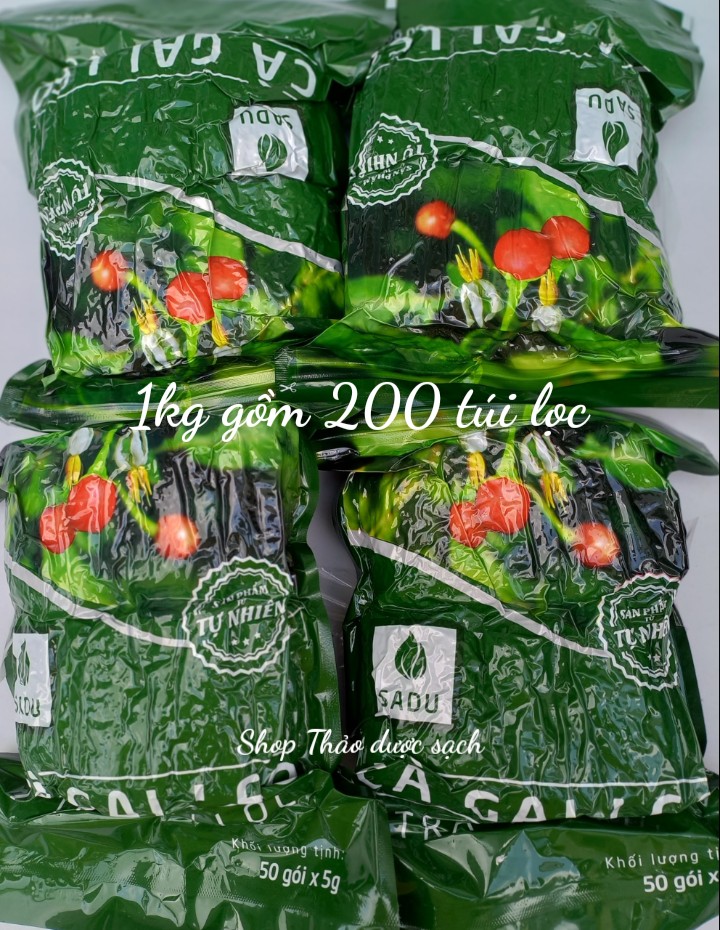 4 BỊCH TRÀ TÚI LỌC CÀ GAI LEO SADU ( 1kg gồm 200 TÚI LỌC ) MÁT GAN-THANH NHIỆT-NGỪA MỤN NHỌT
