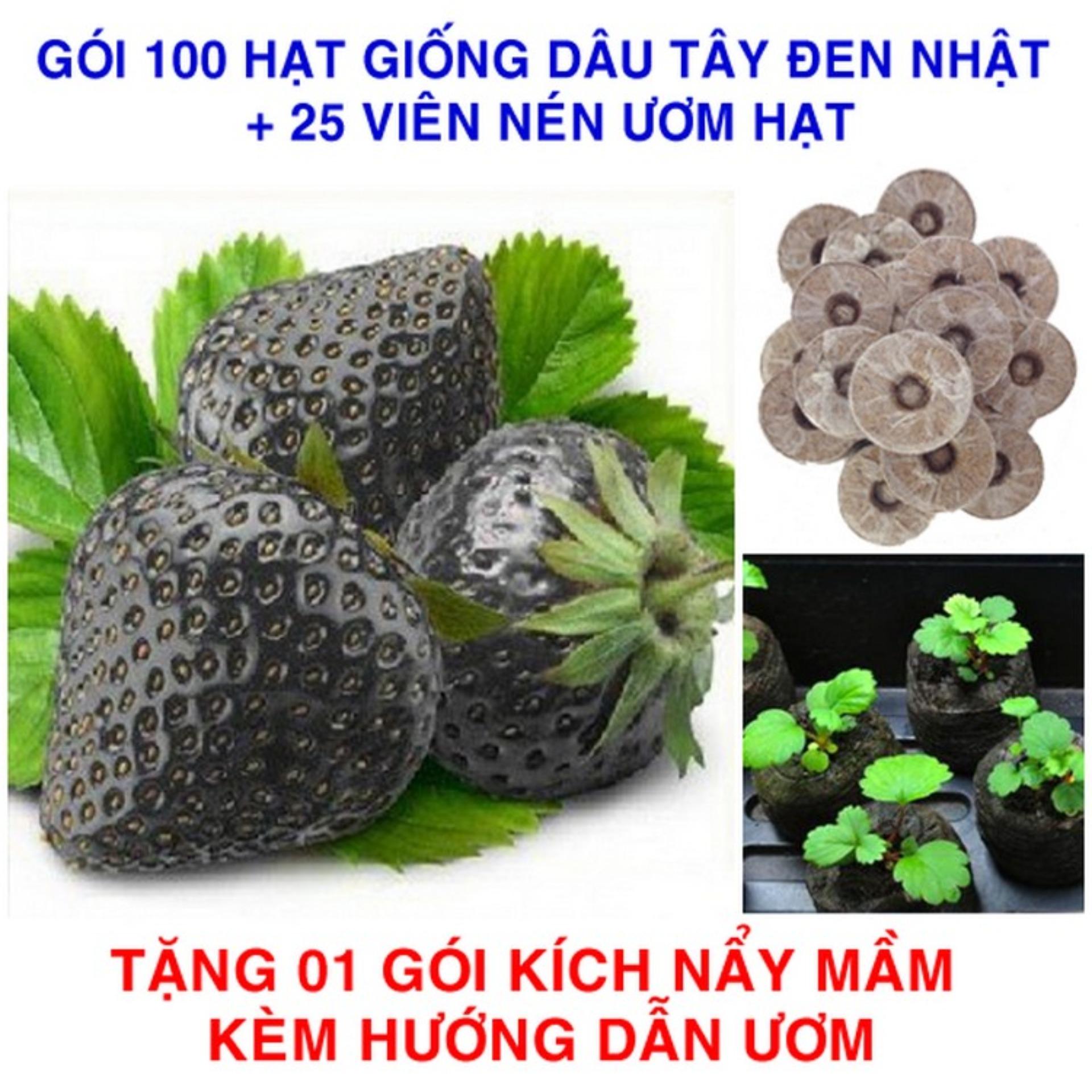 100 Hạt giống Dâu tây đen Nhật + 25 Viên nén ươm hạt (tặng Kích mầm, H.dẫn)