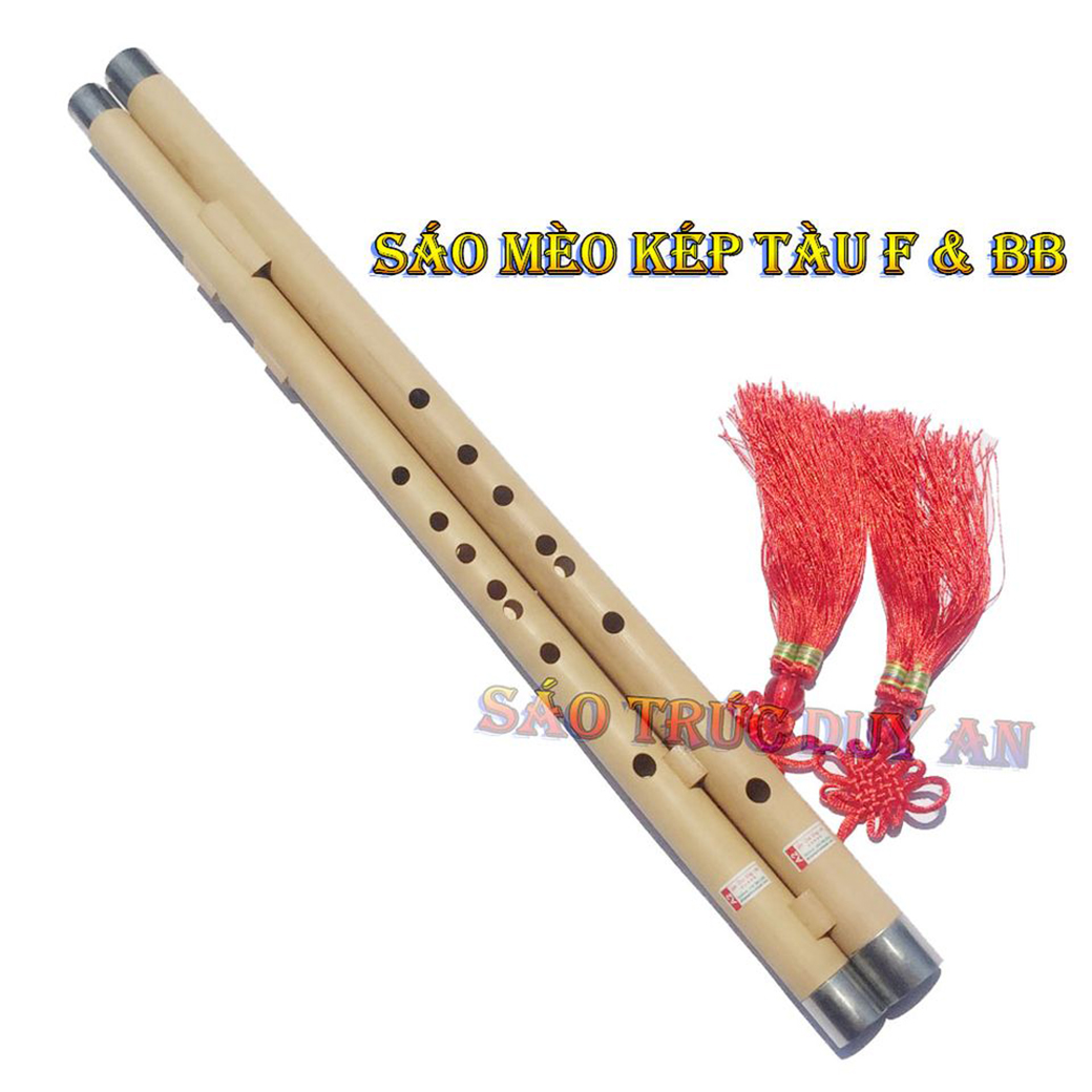 Sáo mèo kép