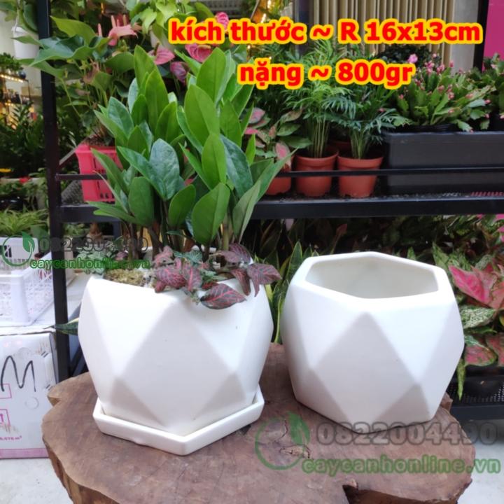Chậu trám to gốm sứ trồng cây cảnh để bàn chậu cây giá rẻ