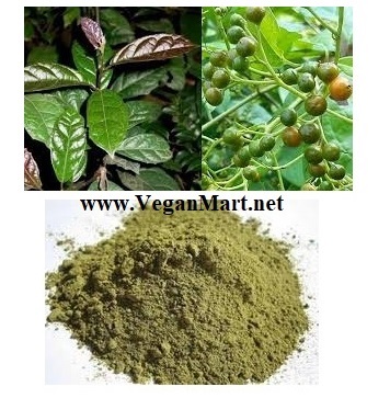 500gr bột cây xạ đen dùng cho ung thư, viêm gan dễ sử dụng không cần sắc lâu