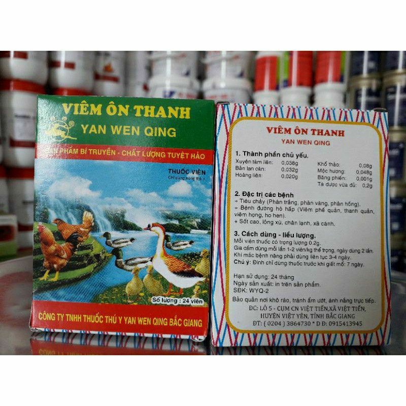 Viêm ôn thanh cho gà đá viêm ôn thanh cho chim cảnh chó mèo