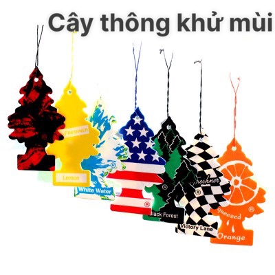 Cây thông thơm Mỹ Little tree - Mùi hương tự chọn túi thơm cây thông Mỹ