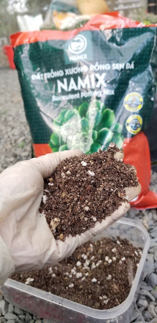 Đất trồng xương rồng, sen đá Namix Succulents Potting Mix
