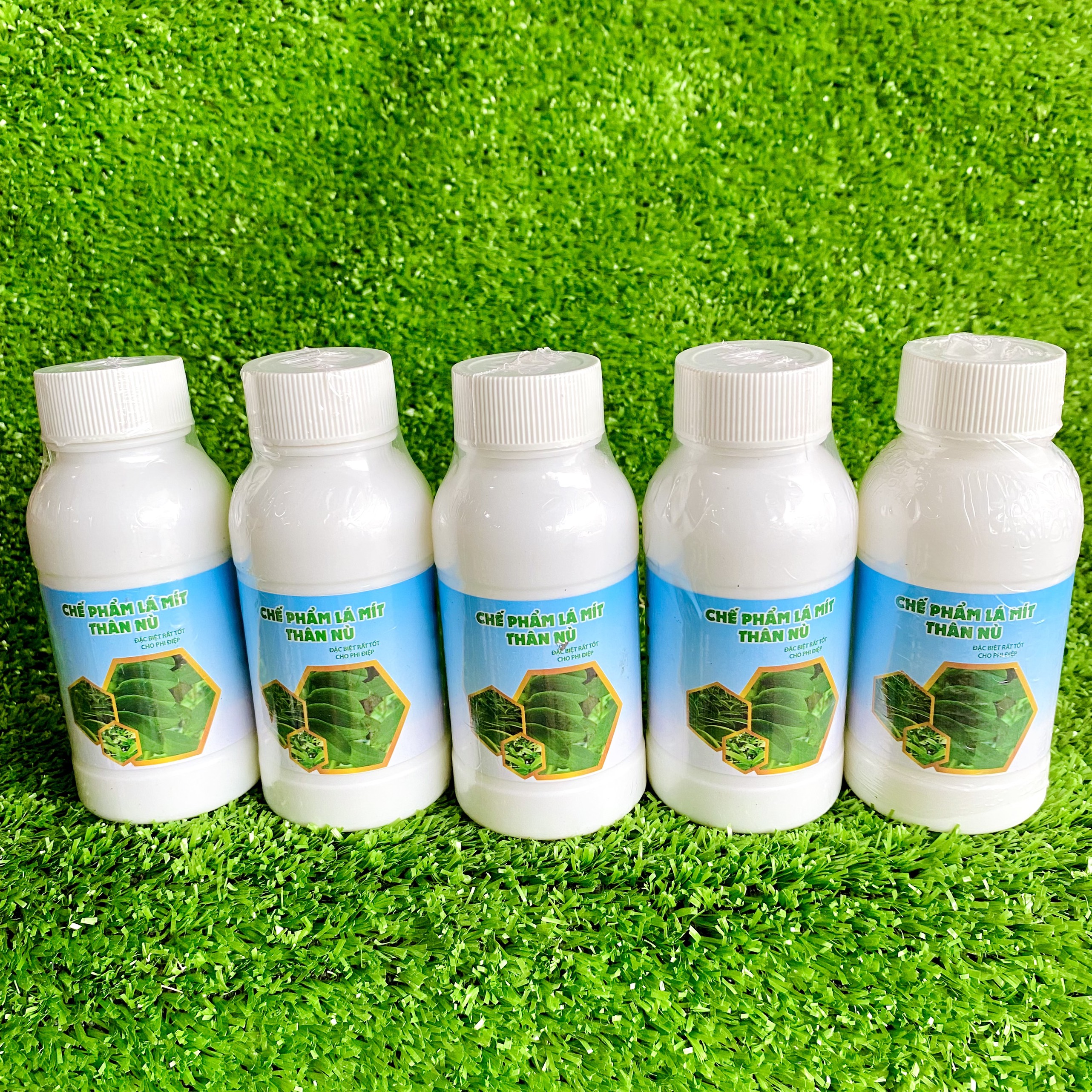 Phân bón lá mập thân làm cho lá cây xanh tốt, béo mập, cánh dày _ phân lá mít