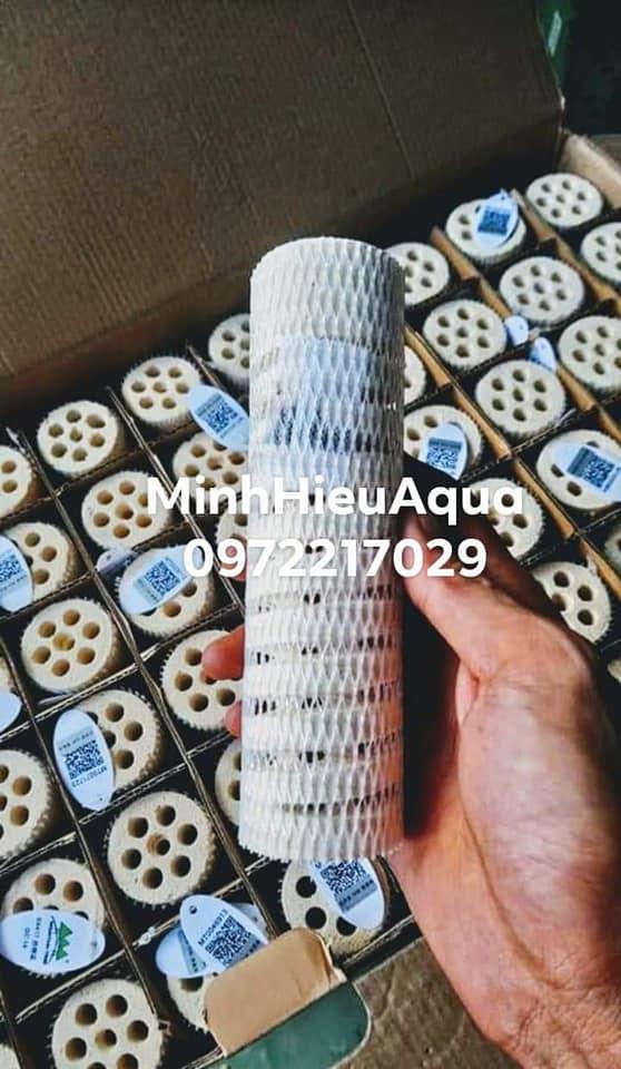 SỨ LỌC CAO CẤP MOUNTAIN TREE