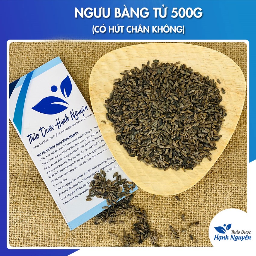 500g Ngưu Bàng Tử (Hạt Ngưu Bàng)
