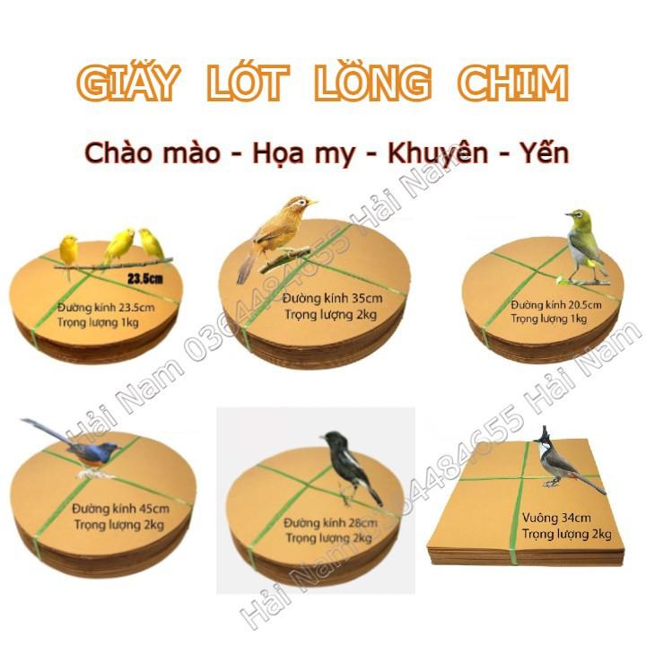 Giấy lót lồng chim Chào mào - Họa My - Chích Chòe - Khuyên