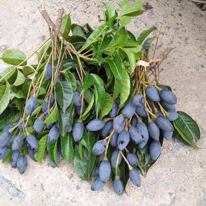 Trám đen Cao Bằng 1kg