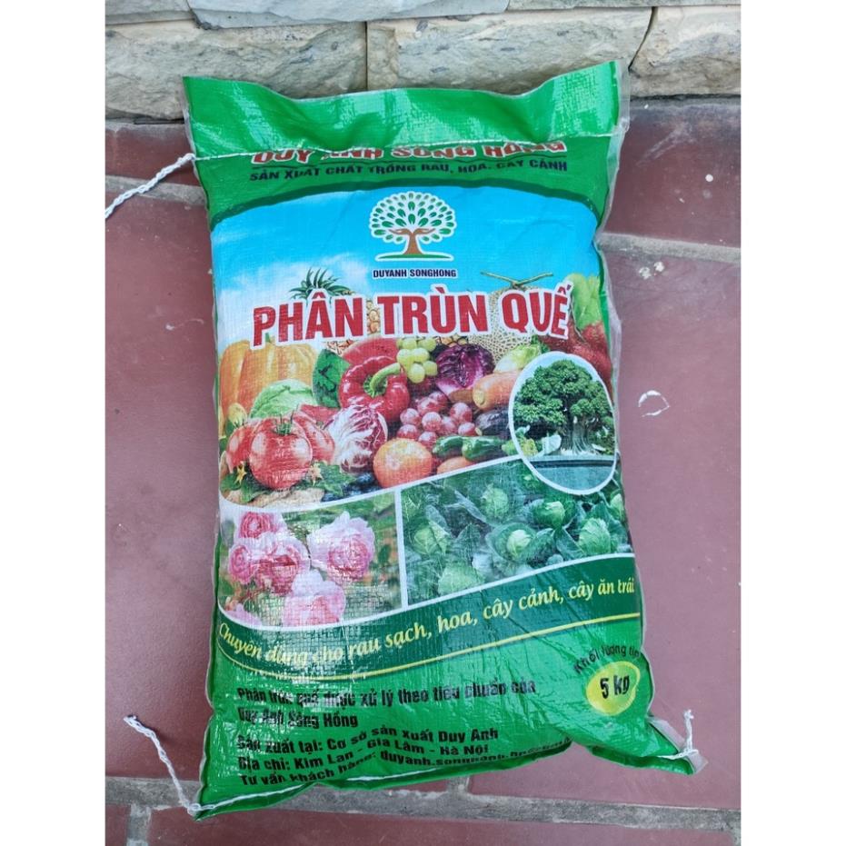 Giảm giá Phân trùn quế Duy Anh 5kg trộn đất trồng rau, trồng hoa, cây cảnh
