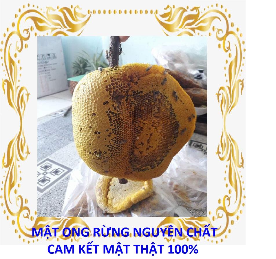 Mật ong rừng nguyên chất - nguyên tổ 1 kg