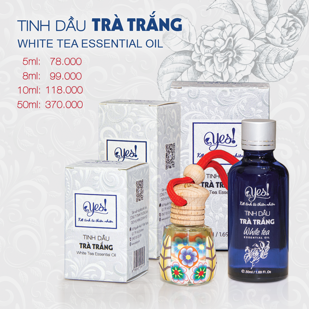 Tinh dầu trà trắng yes!