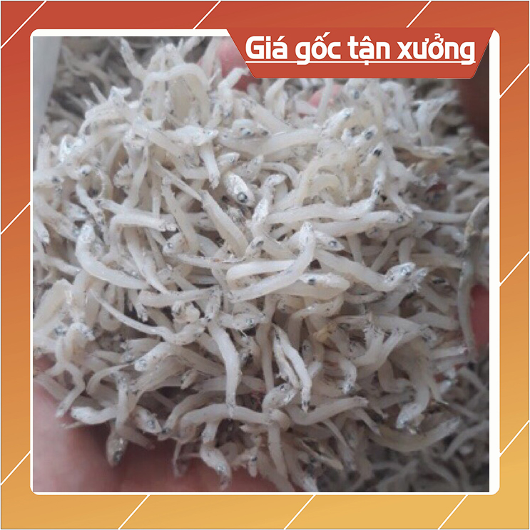 Cá Cơm Trắng - Cá Cơm Mờm Sữa 500g Đặc Sản Nha Trang