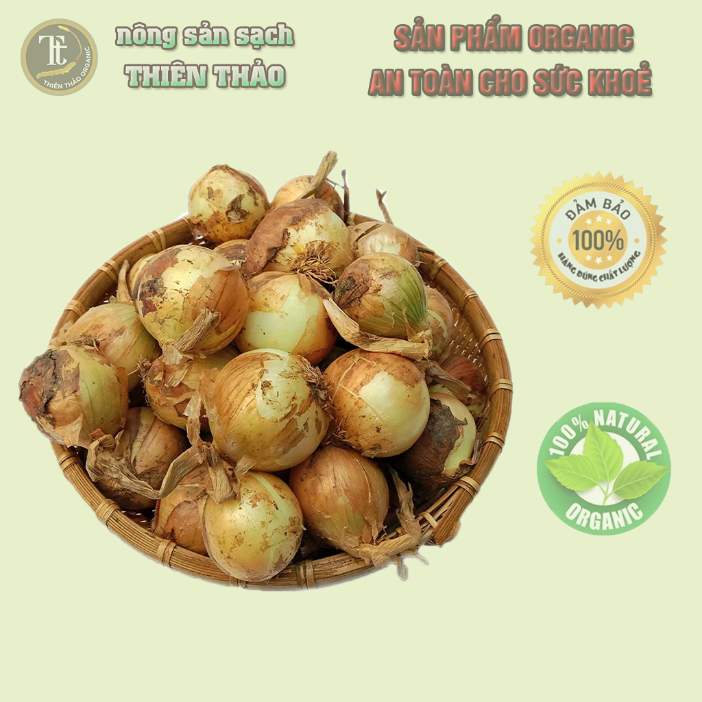 Hành tây chuẩn Đà Lạt tươi ngon rất tốt cho sức khoẻ Thiên Thảo Organic