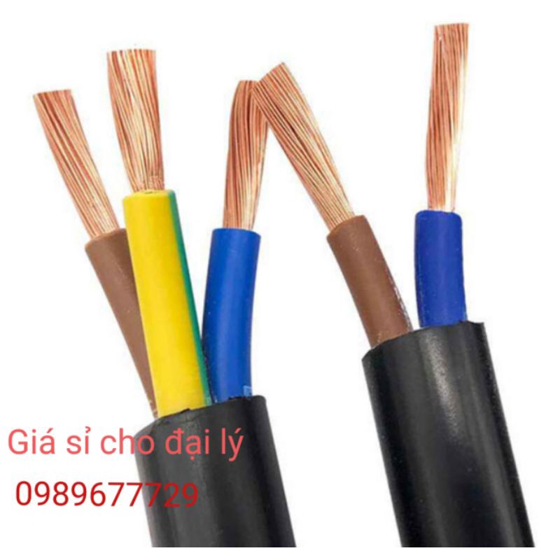 Dây điện 3 lõi 3x2,5 & 3x1,5 & 2x2,5 & 2x1,5 & 2x1,0 & 2x0,75cu/pvc//pvc 300/500v dongnew