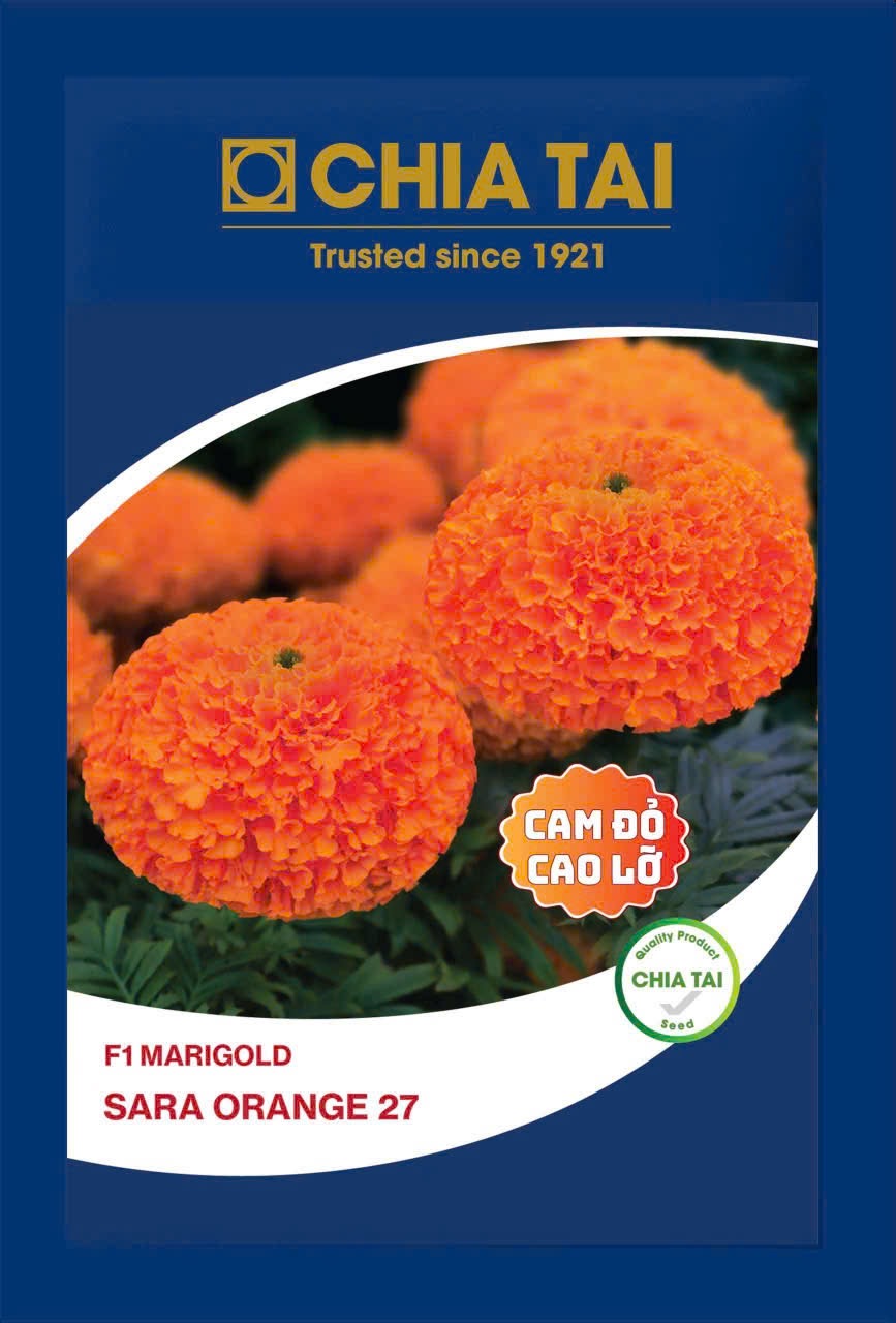 Hạt Giống Vạn Thọ Thái Lan Cao Lỡ Sara Orange 27 (Gói 1 Gam trên 300 hạt) - F1 Marigold